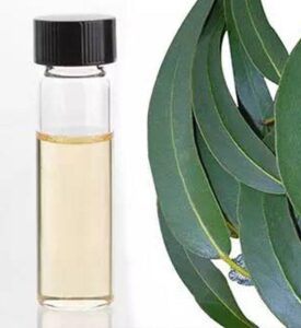 Eucalyptus oil CAS 8000-48-4