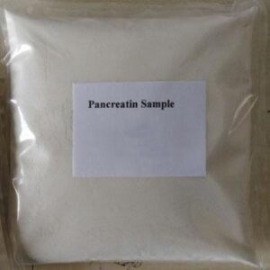 Pancreatin CAS 8049-47-6